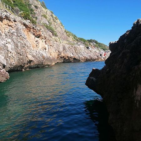 Casa Tequi A 200Mt Dal Mare Villa Terrasini Buitenkant foto